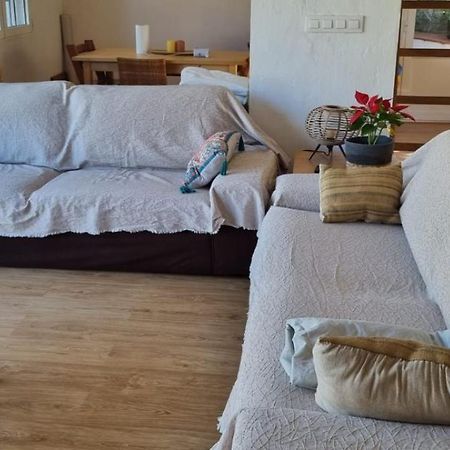 Agradable Casa Con Piscina Privada Y Jardin Βίλα Denia Εξωτερικό φωτογραφία