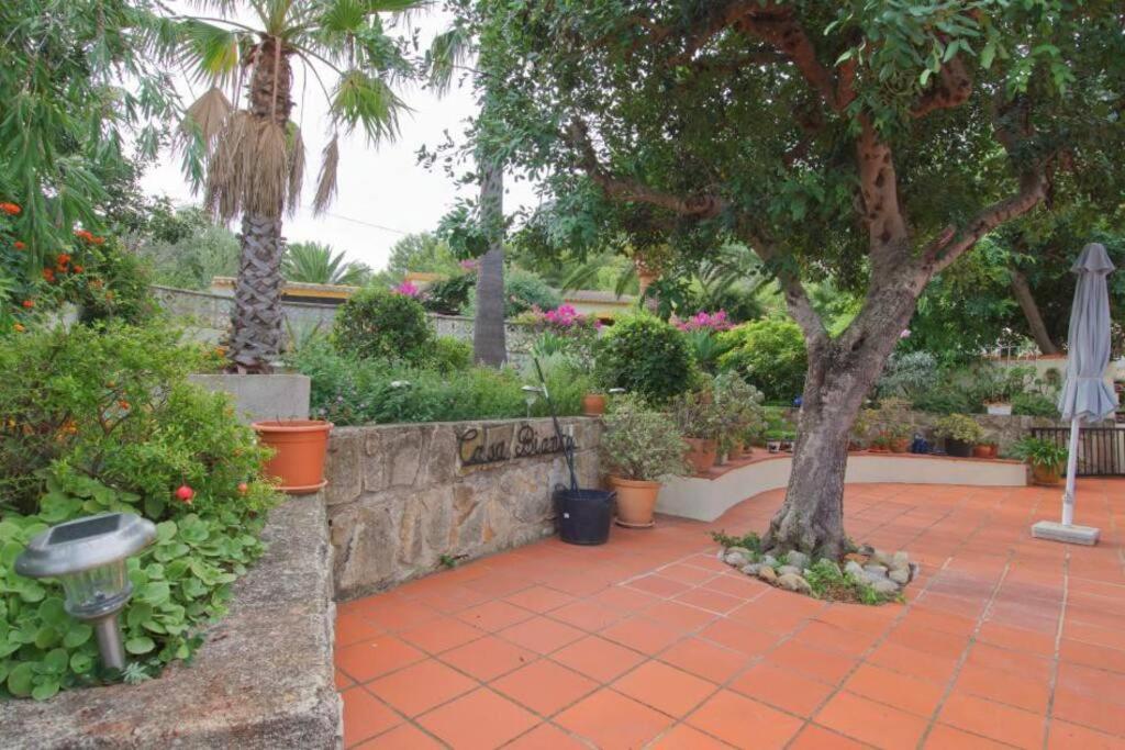 Agradable Casa Con Piscina Privada Y Jardin Βίλα Denia Εξωτερικό φωτογραφία